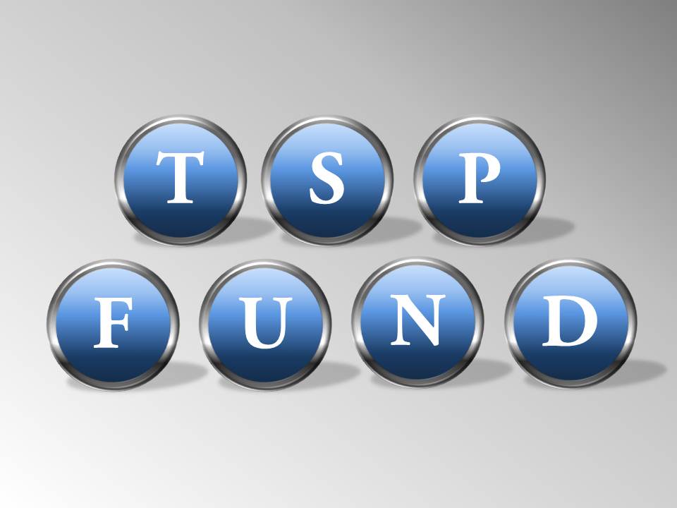 Government TSP: Overview of the Federal Thrift Savings Plan Funds